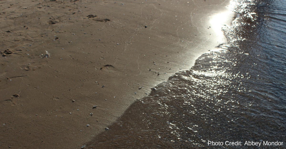 Beach by Abbey Mondor