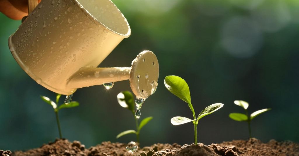 how does an OBM helps my business grow_